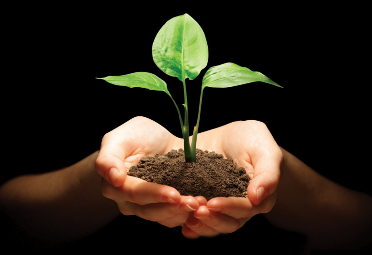 Life Mastery Pix@2x Work With Me