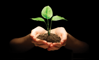 Life Mastery Class Icon Client Login